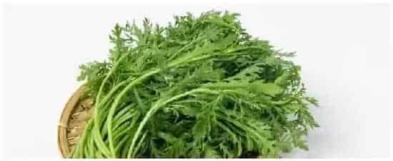 小叶茼蒿种植时间和方法 | 生活常识