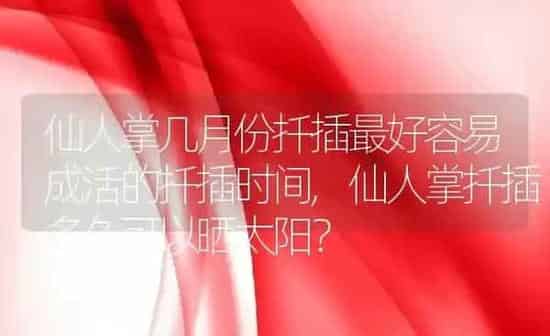 仙人掌几月份扦插最好容易成活的扦插时间,仙人掌扦插多久可以晒太阳？ | 养殖常见问题