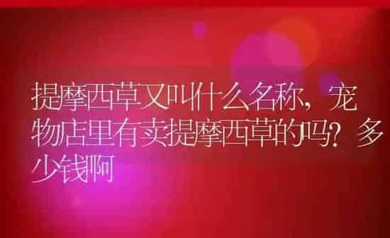 提摩西草又叫什么名称,宠物店里有卖提摩西草的吗？多少钱啊 | 养殖常见问题
