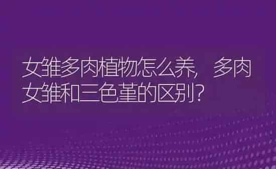 女雏多肉植物怎么养,多肉女雏和三色堇的区别？ | 养殖常见问题