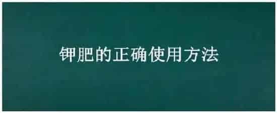 钾肥的正确使用方法 | 农业常识