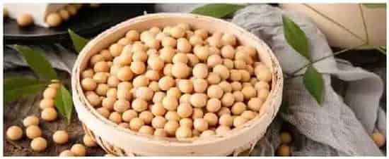 美国大豆种植时间 | 农业问题