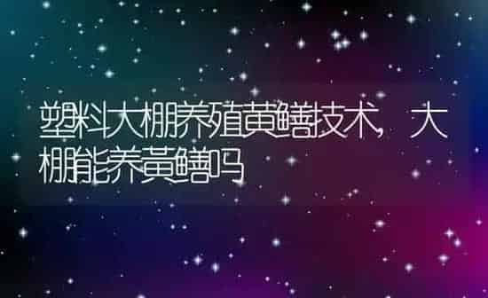 塑料大棚养殖黄鳝技术,大棚能养黃鳝吗 | 养殖常见问题