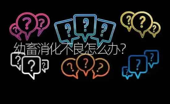 幼畜消化不良怎么办? | 养殖问题解答
