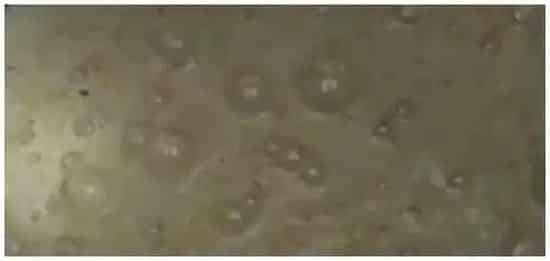 醋酸菌菌种来源 | 农业答疑