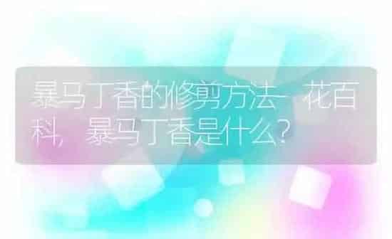暴马丁香的修剪方法–花百科,暴马丁香是什么？ | 养殖常见问题