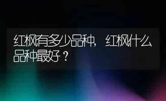 红枫有多少品种,红枫什么品种最好？ | 养殖常见问题