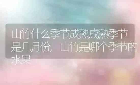 夜来香长什么样子,夜来香和九里香哪个更香？ | 养殖常见问题