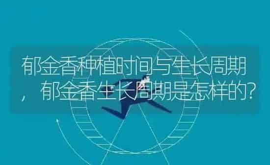 郁金香种植时间与生长周期,郁金香生长周期是怎样的？ | 养殖常见问题