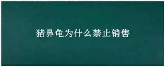 猪鼻龟为什么禁止销售 | 三农答疑
