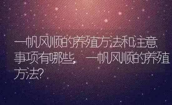 一帆风顺的养殖方法和注意事项有哪些,一帆风顺的养殖方法？ | 养殖常见问题