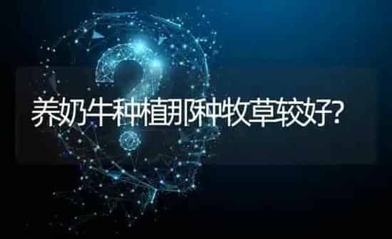 养奶牛种植那种牧草较好? | 养殖问题解答