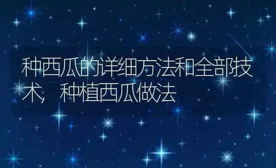 种西瓜的详细方法和全部技术,种植西瓜做法 | 养殖常见问题