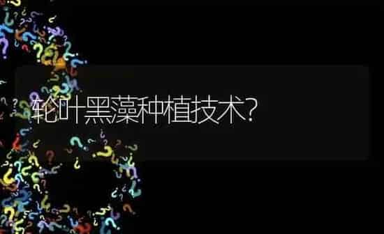 轮叶黑藻种植技术? | 养殖问题解答