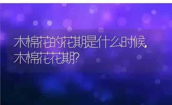 狗狗挨打会记仇吗,狗狗发出凄惨的叫声 | 养殖科普