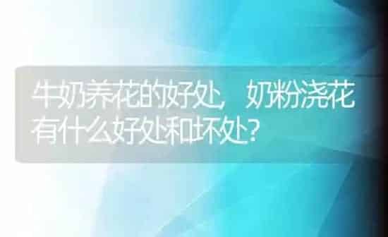 牛奶养花的好处,奶粉浇花有什么好处和坏处？ | 养殖科普