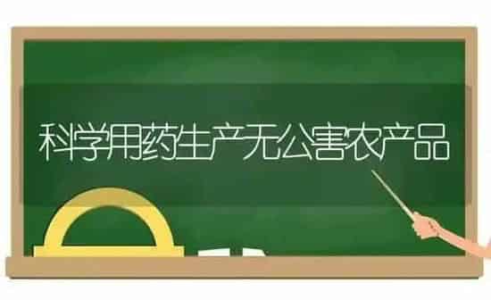 科学用药生产无公害农产品 | 养殖知识