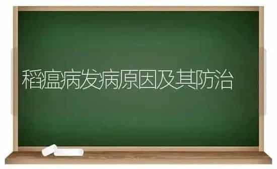 稻瘟病发病原因及其防治 | 养殖知识