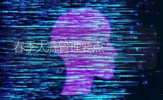 春季大蒜管理要点 | 养殖知识