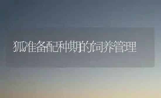 狐准备配种期的饲养管理 | 养殖知识