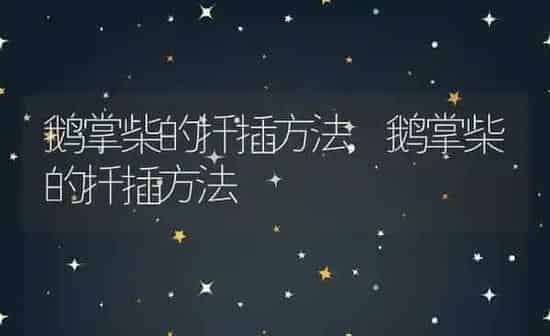 鹅掌柴的扦插方法,鹅掌柴的扦插方法 | 养殖科普