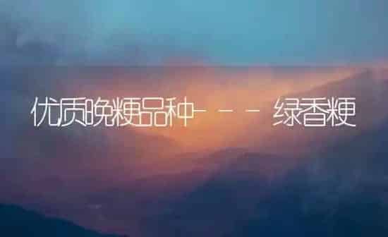 优质晚粳品种---绿香粳 | 养殖技术大全