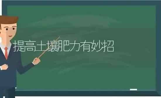 提高土壤肥力有妙招 | 养殖知识