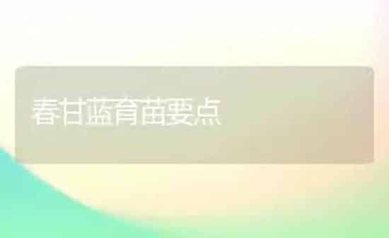 春甘蓝育苗要点 | 养殖知识