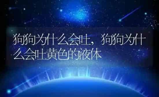 狗狗为什么会吐,狗狗为什么会吐黄色的液体 | 养殖科普