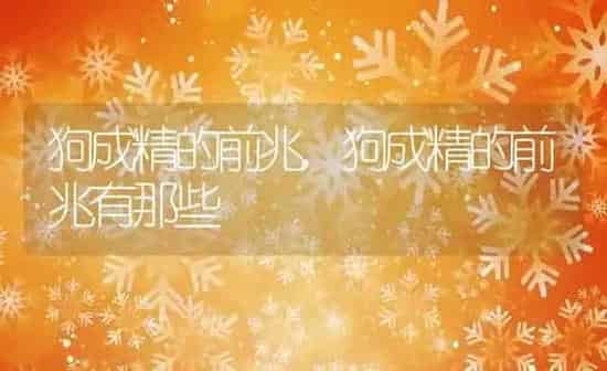 狗成精的前兆,狗成精的前兆有那些 | 养殖科普