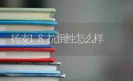 扬麦18抗倒性怎么样 | 养殖知识