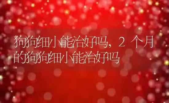 狗狗细小能治好吗,2个月的狗狗细小能治好吗 | 养殖科普
