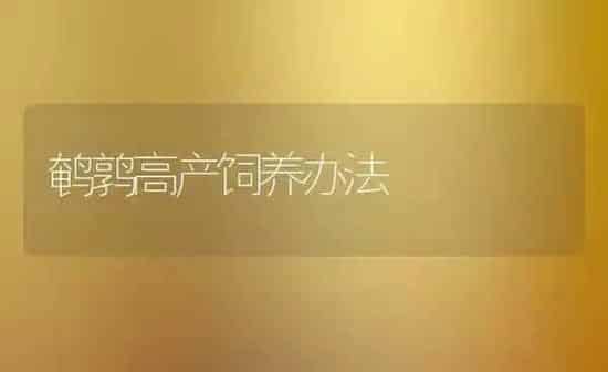 鹌鹑高产饲养办法 | 养殖技术大全