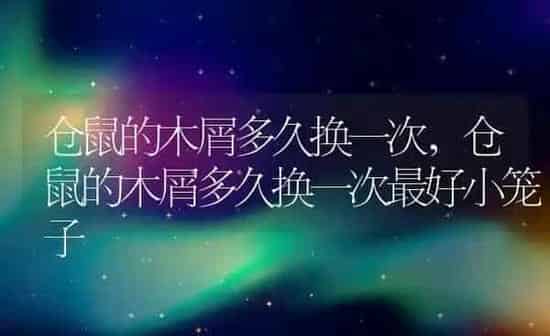 仓鼠的木屑多久换一次,仓鼠的木屑多久换一次最好小笼子 | 养殖资料