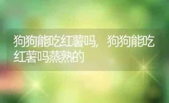 狗狗能吃红薯吗,狗狗能吃红薯吗蒸熟的 | 养殖科普