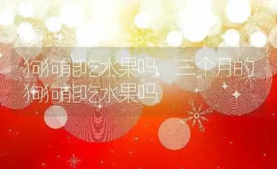 狗狗能吃水果吗,三个月的狗狗能吃水果吗 | 养殖科普