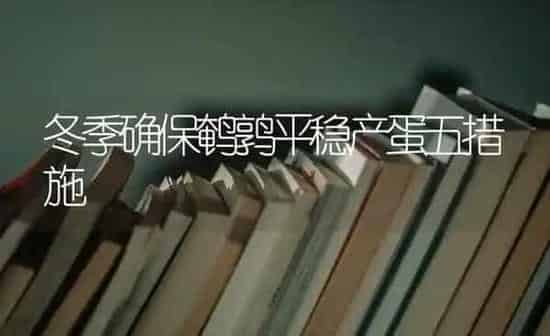 冬季确保鹌鹑平稳产蛋五措施 | 养殖技术大全
