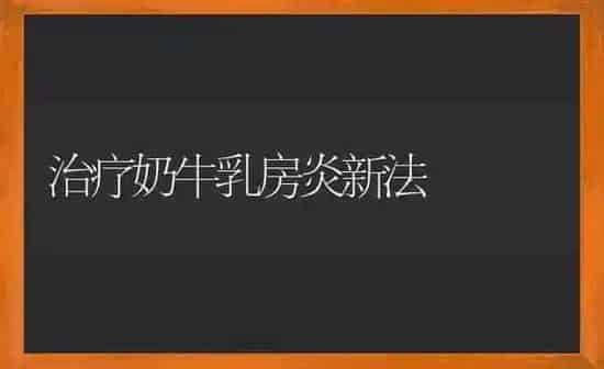 治疗奶牛乳房炎新法 | 养殖知识