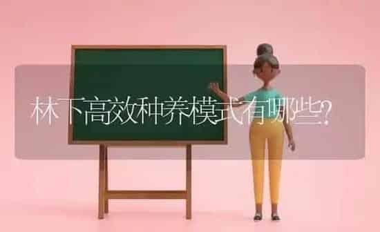 林下高效种养模式有哪些? | 养殖知识