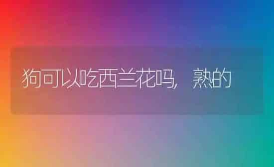 狗可以吃西兰花吗,熟的 | 养殖科普