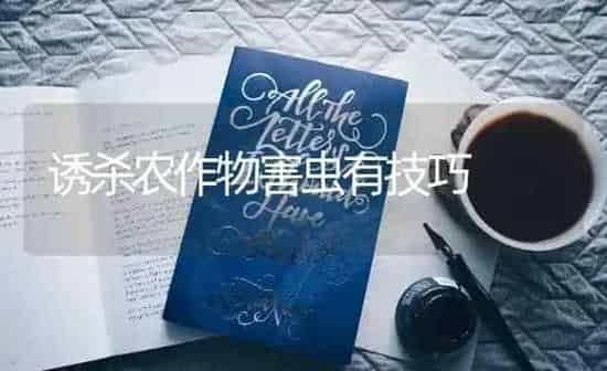 诱杀农作物害虫有技巧 | 养殖技术大全