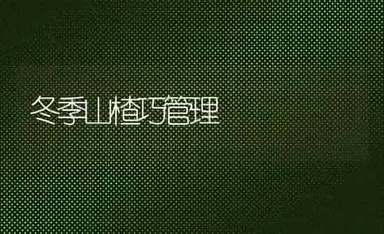 冬季山楂巧管理 | 养殖技术大全