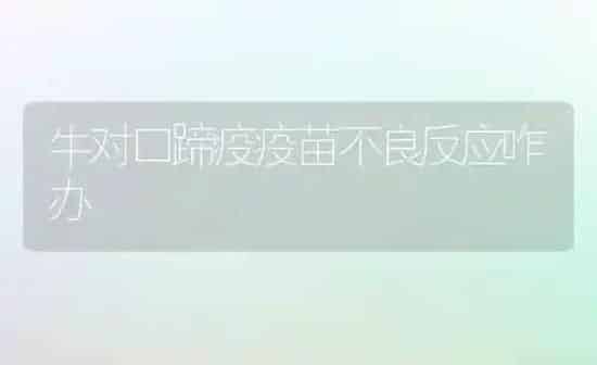 牛对口蹄疫疫苗不良反应咋办 | 养殖知识
