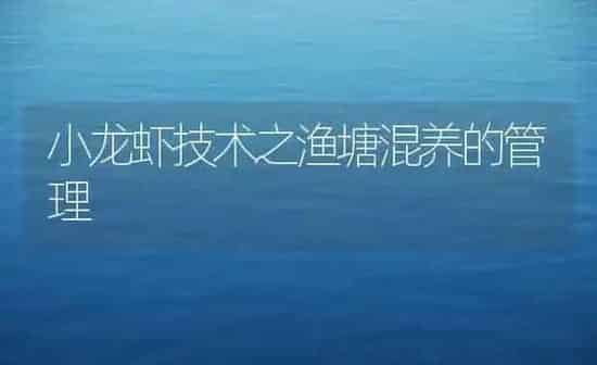 小龙虾技术之渔塘混养的管理 | 养殖知识
