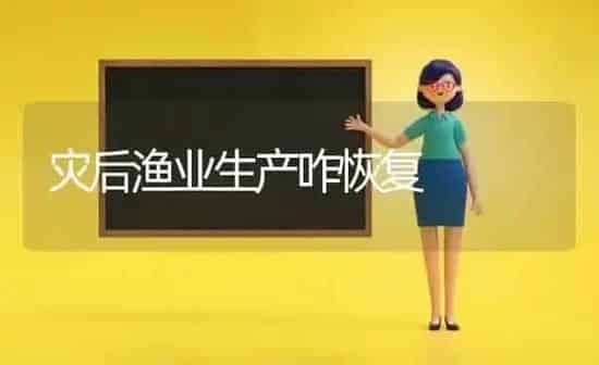 灾后渔业生产咋恢复 | 养殖技术大全