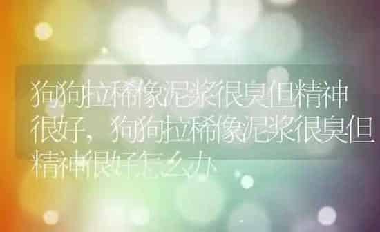 狗狗拉稀像泥浆很臭但精神很好,狗狗拉稀像泥浆很臭但精神很好怎么办 | 养殖科普