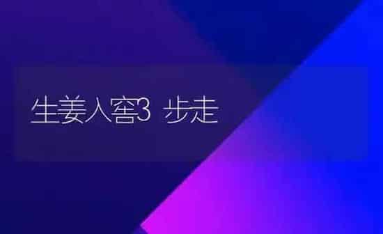 生姜入窖3步走 | 养殖知识