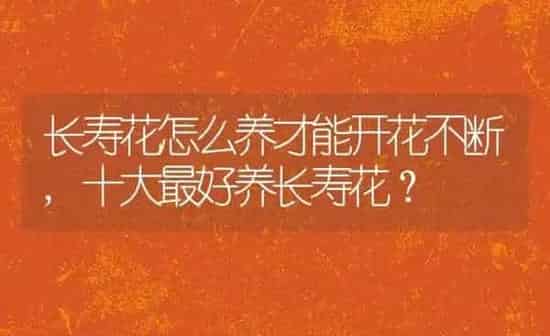 吃芒果过敏怎么办,吃芒果过敏怎么办吃什么可以解过来 | 养殖资料