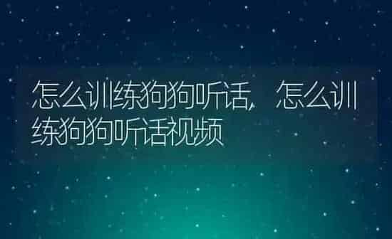 怎么训练狗狗听话,怎么训练狗狗听话视频 | 养殖科普