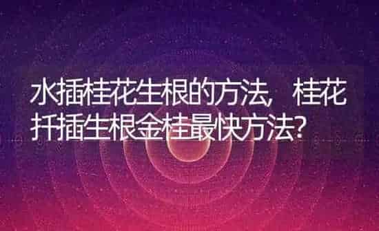 露娜森主治什么病,露娜森主治什么病害 | 养殖科普